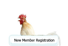 Click here for AAAP New Member Application alt